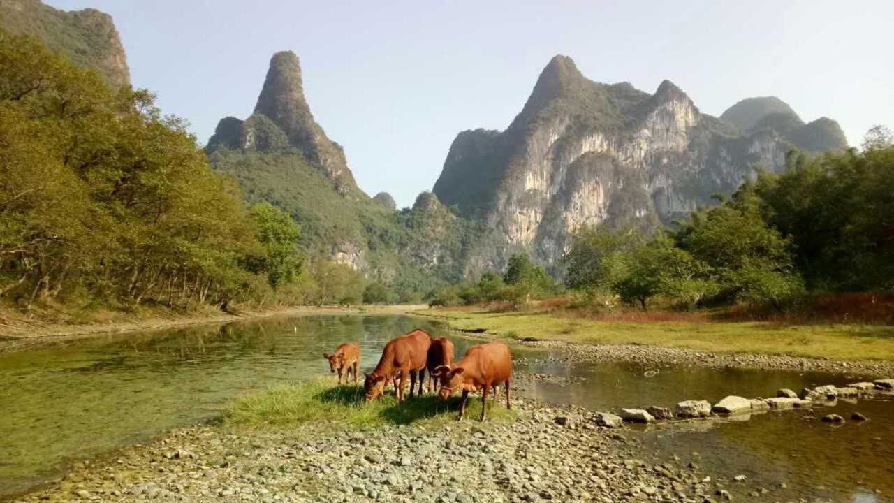 Xingping Li River Lodge Гуйлинь Экстерьер фото